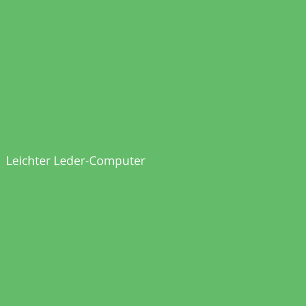 Leichter Leder-Computer