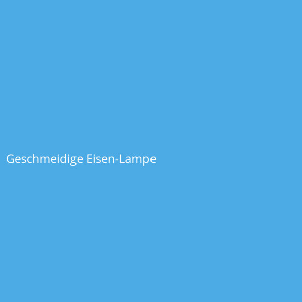 Geschmeidige Eisen-Lampe