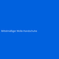 Mittelm&auml;&szlig;iger Wolle-Handschuhe